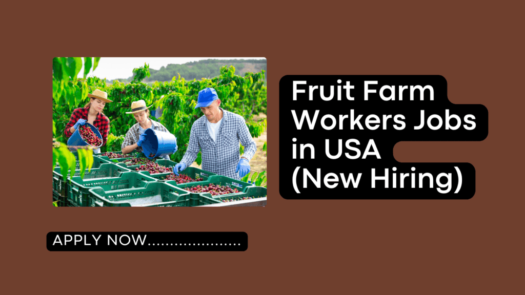 Fruit Farm Workers Jobs in USA